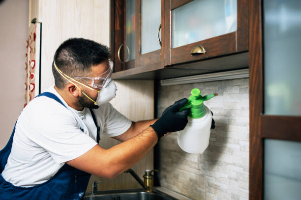 Best Residential Pest Control  in Voorheesville, NY