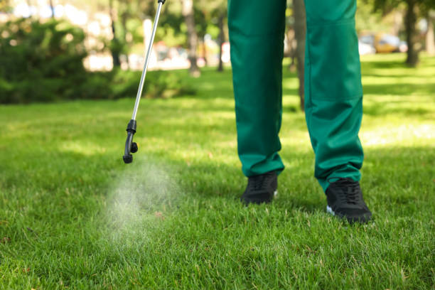 Best Pest Prevention Services  in Voorheesville, NY