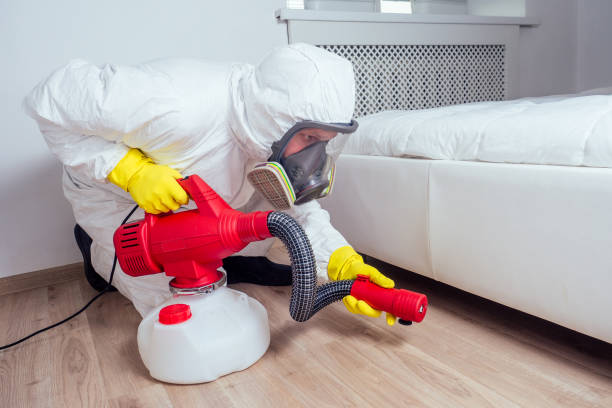 Best Pest Control Near Me  in Voorheesville, NY