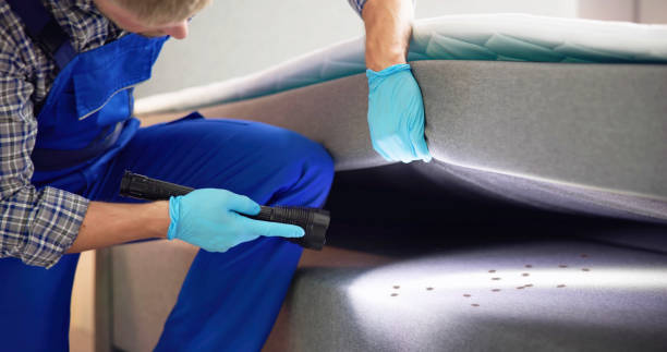 Flea Control Services in Voorheesville, NY